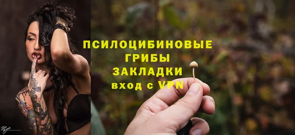 тгк Арсеньев