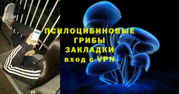 прущие грибы Бугульма