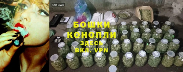 прущие грибы Бугульма