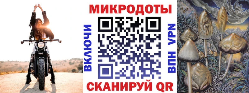 наркотики  Козельск  Галлюциногенные грибы GOLDEN TEACHER 